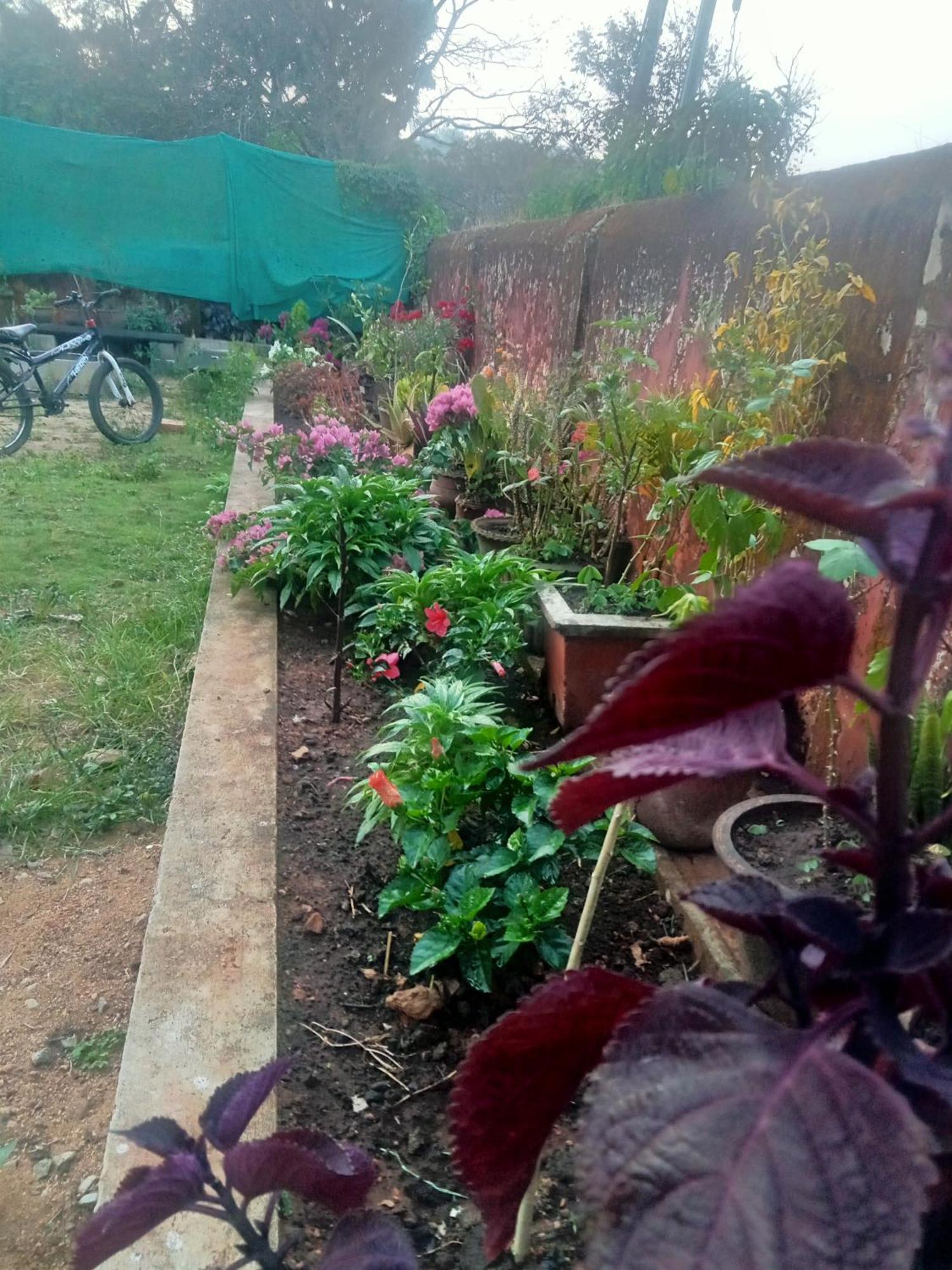 Eshwarkrupa Homestay Madikeri Bagian luar foto